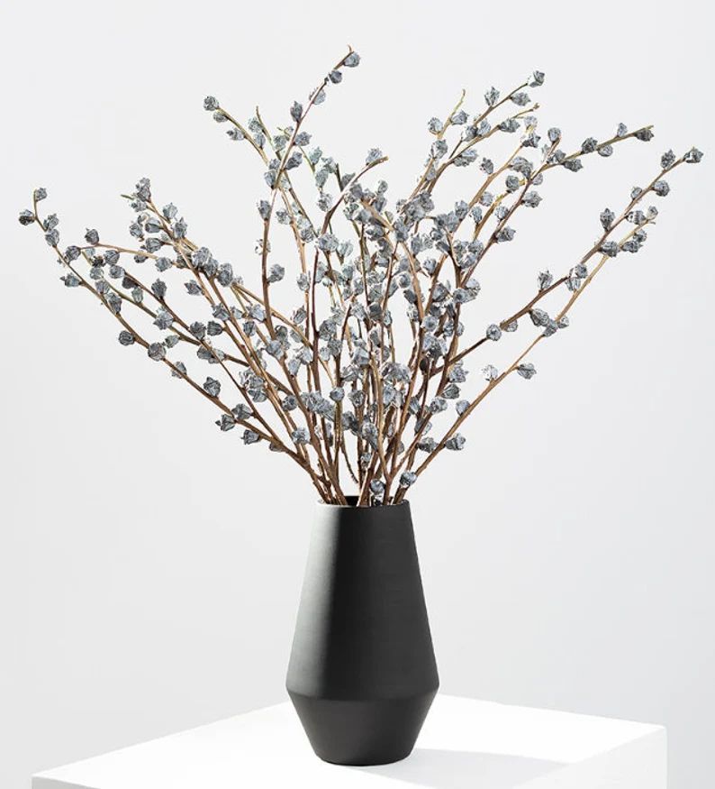 Dried Eucalyptus Fruits Bunch