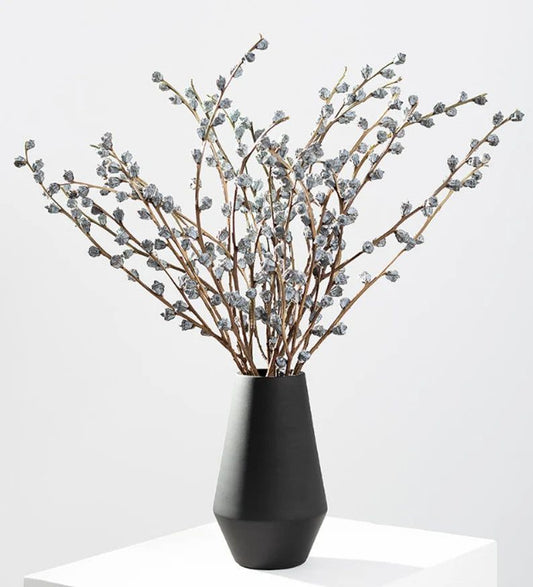 Dried Eucalyptus Fruits Bunch