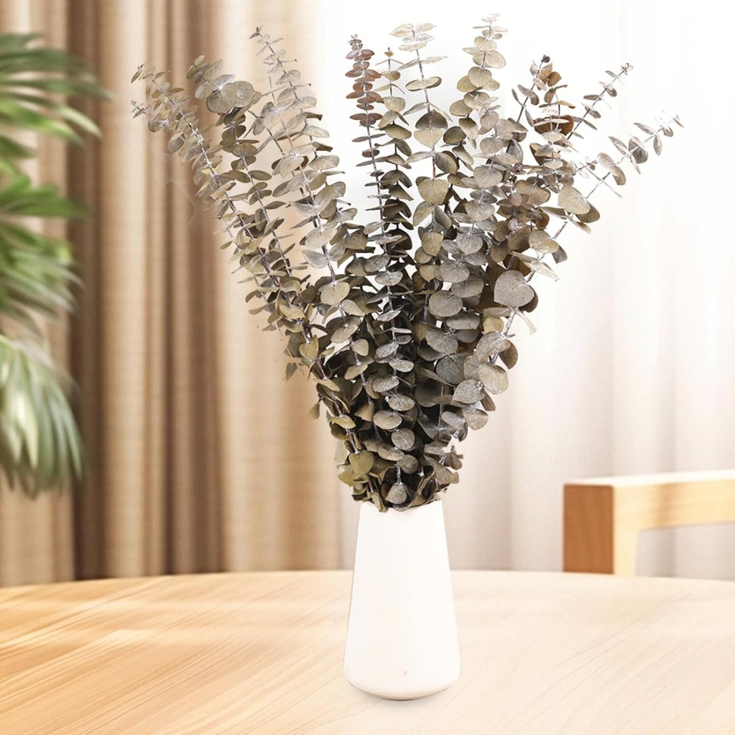 Preserved Eucalyptus Stems