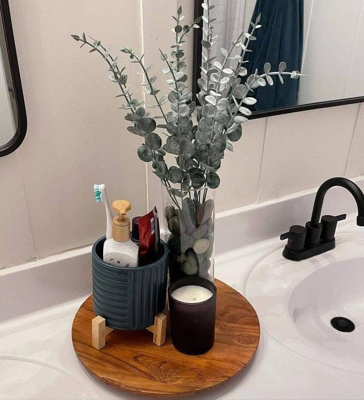 Preserved Eucalyptus Stems