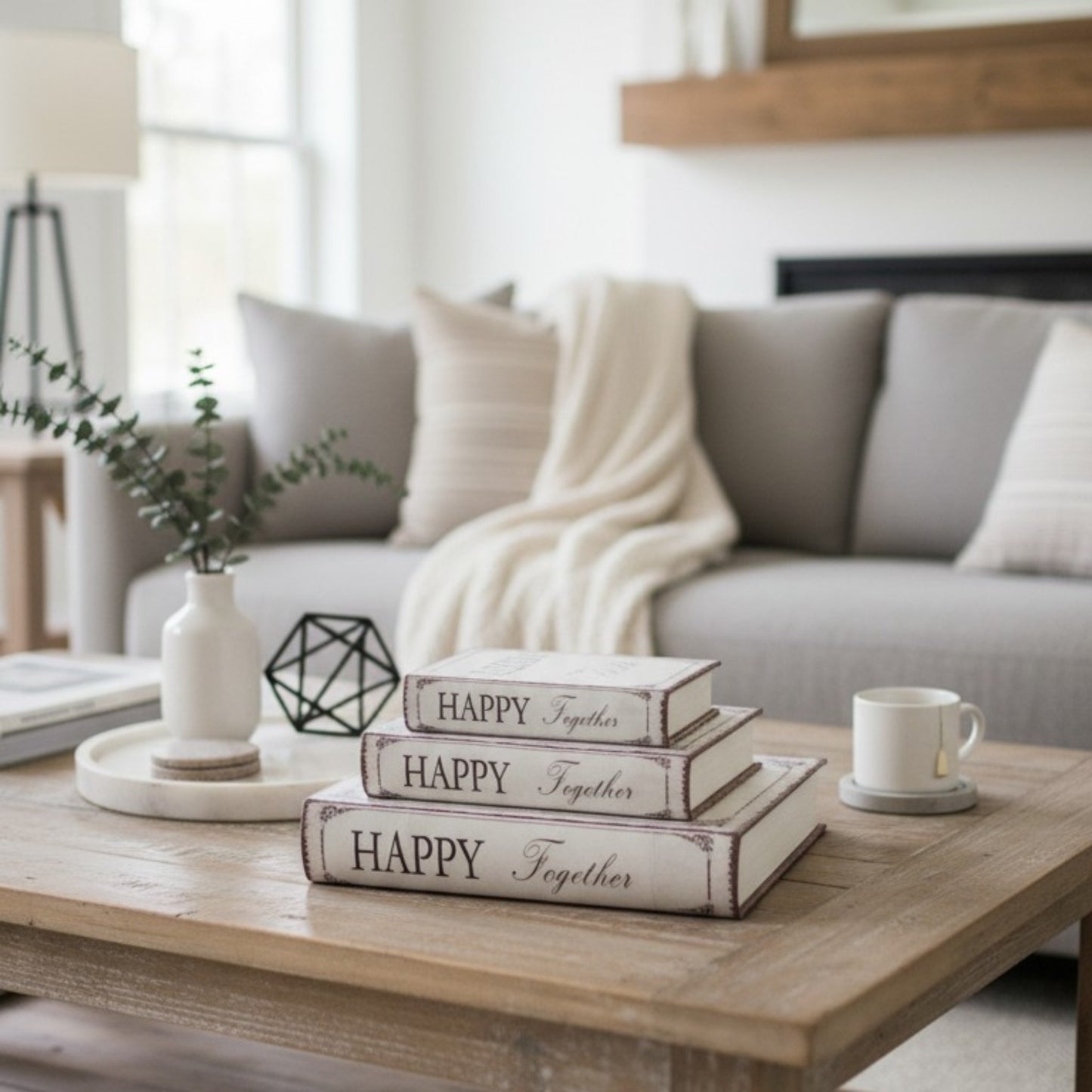 Decorative Storage Book Box Set