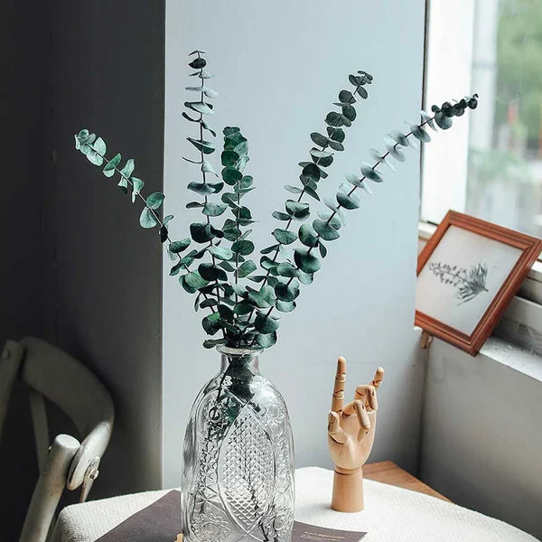 Preserved Eucalyptus Stems