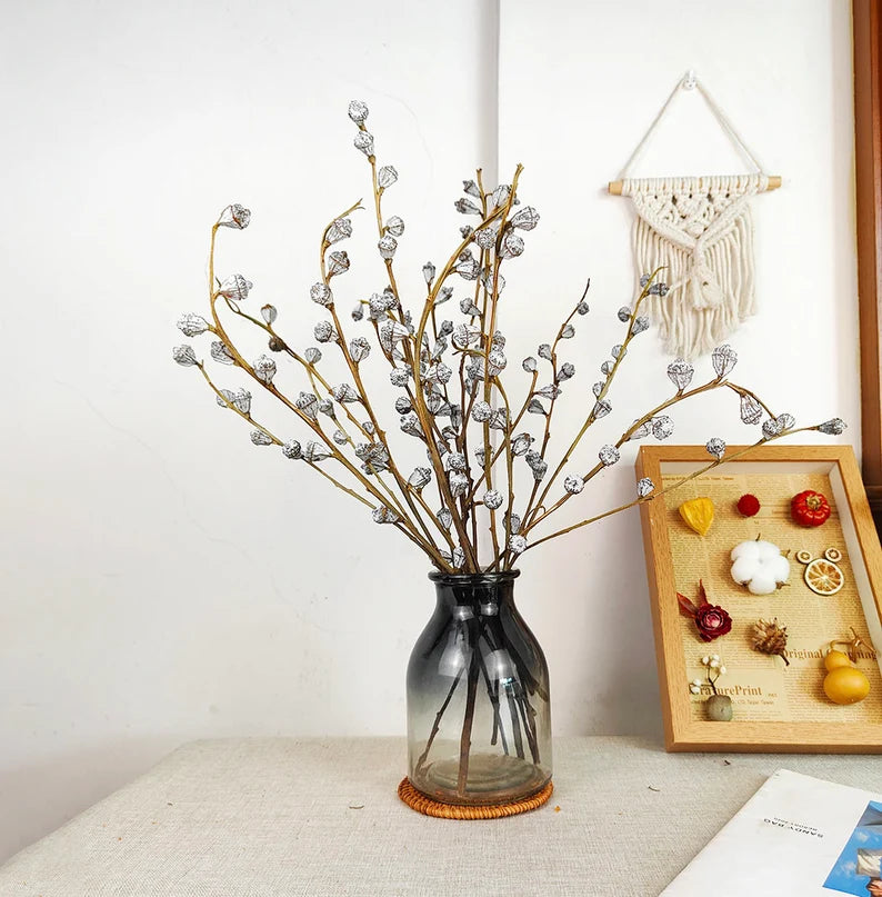 Dried Eucalyptus Fruits Bunch